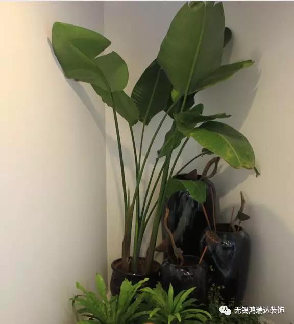 1484199581947904.jpg 115.jpg